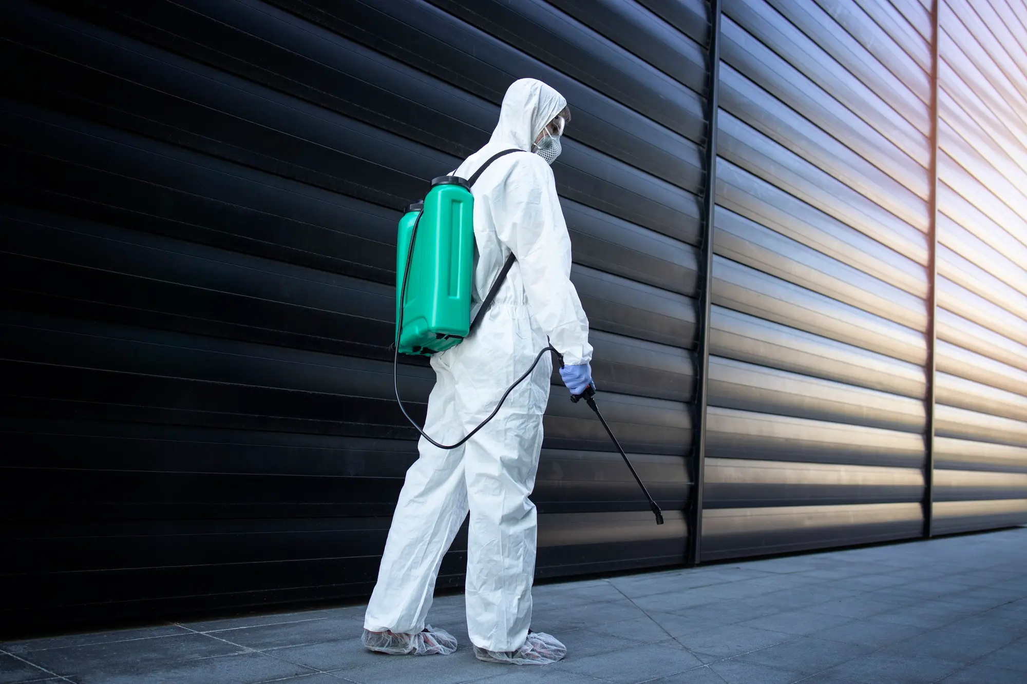 Pest prevention and treatment for managed properties